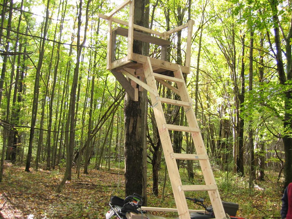 Build Wood Ladder Stand Ohio Woodworking Expo build-wood-ladder-stand-ohio-woodworking-expo