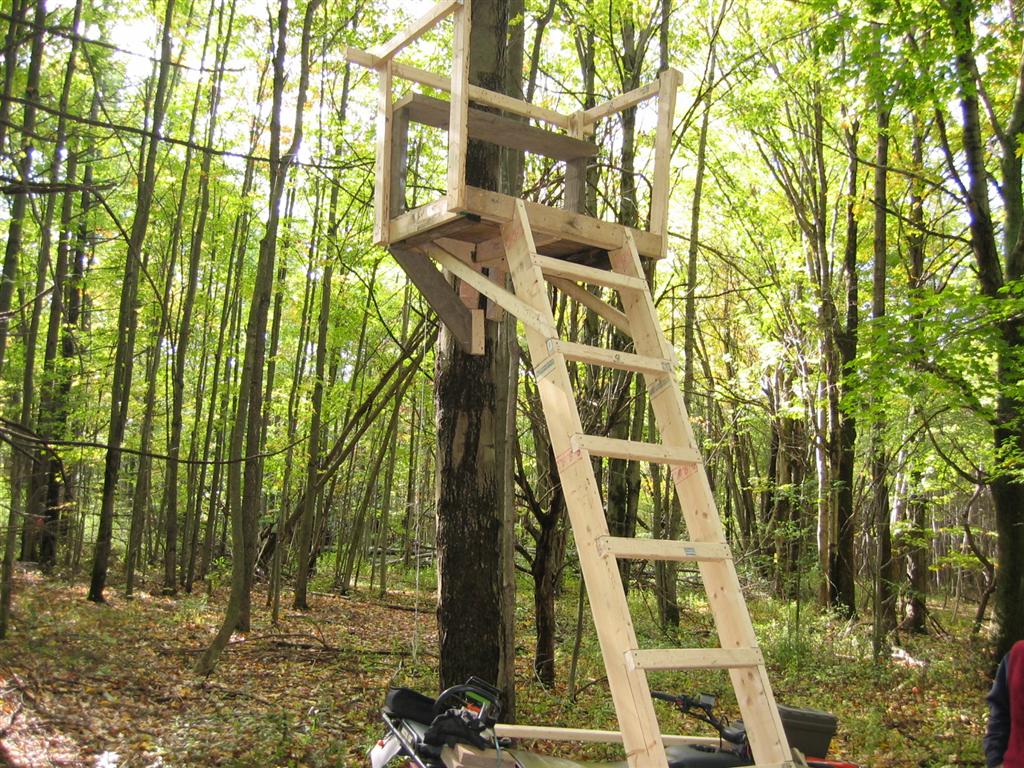 How to Build Wooden Deer Tree Stands